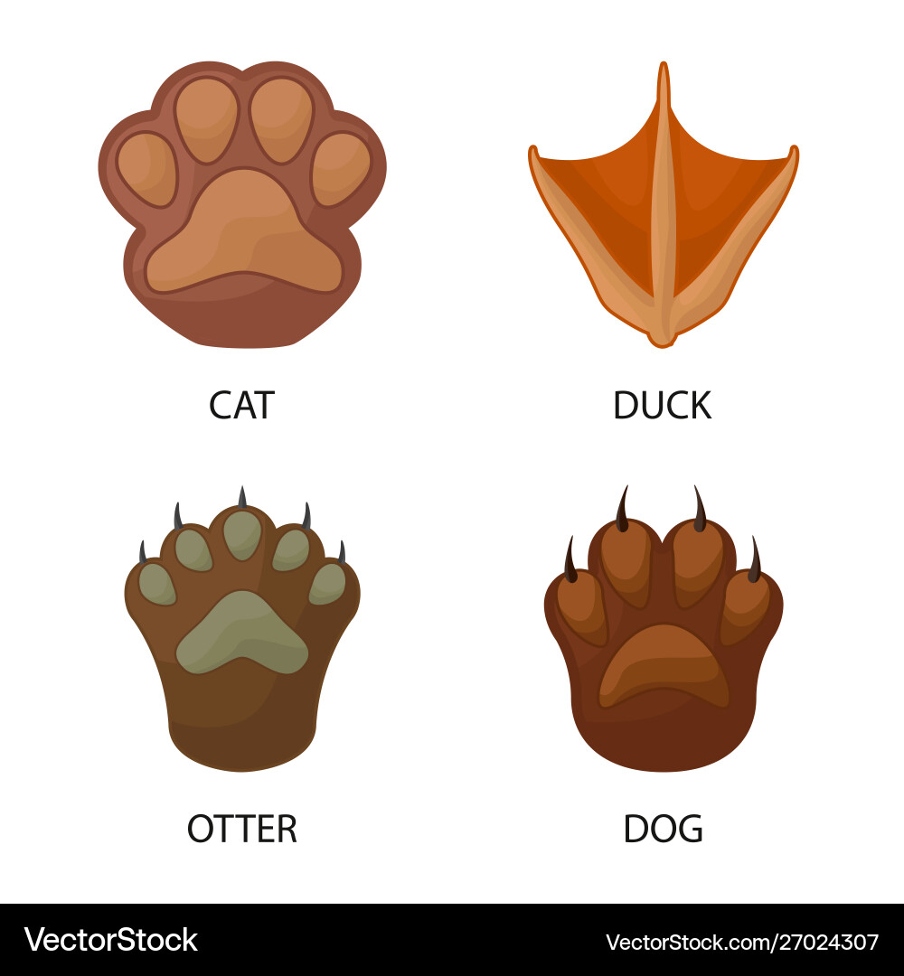 Isolated object animal and print icon Vector Image