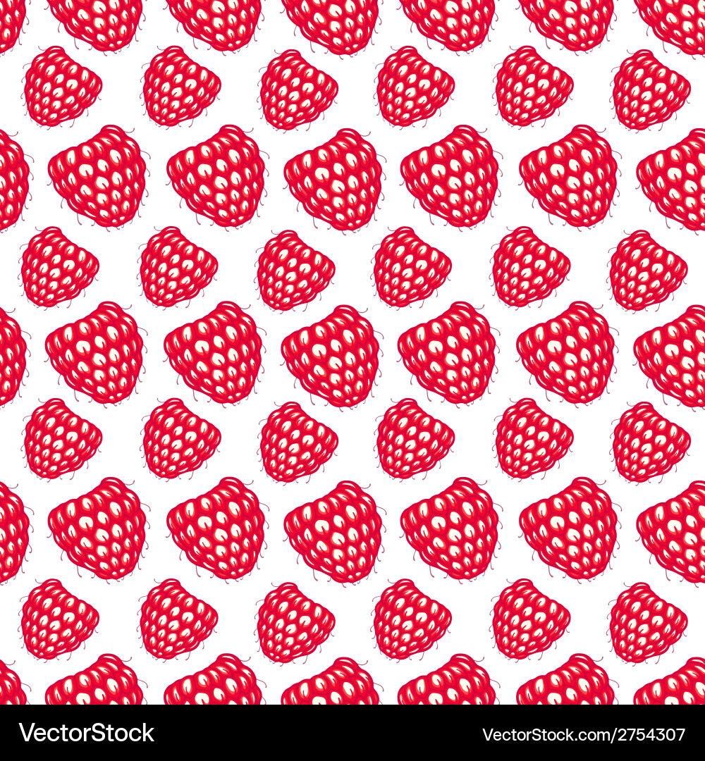 Raspberry Seamless Pattern vector image