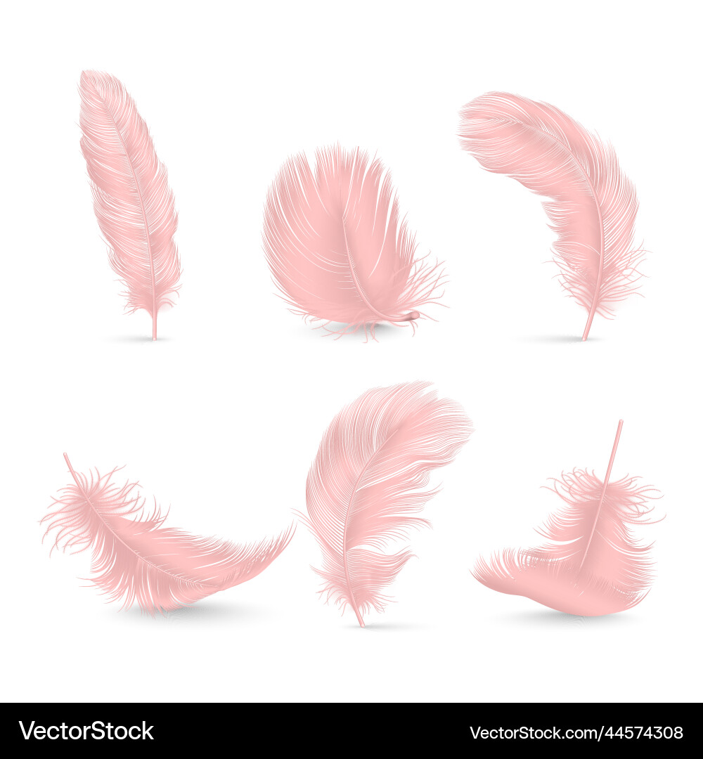 3d realistic pink fluffy feather set vector image