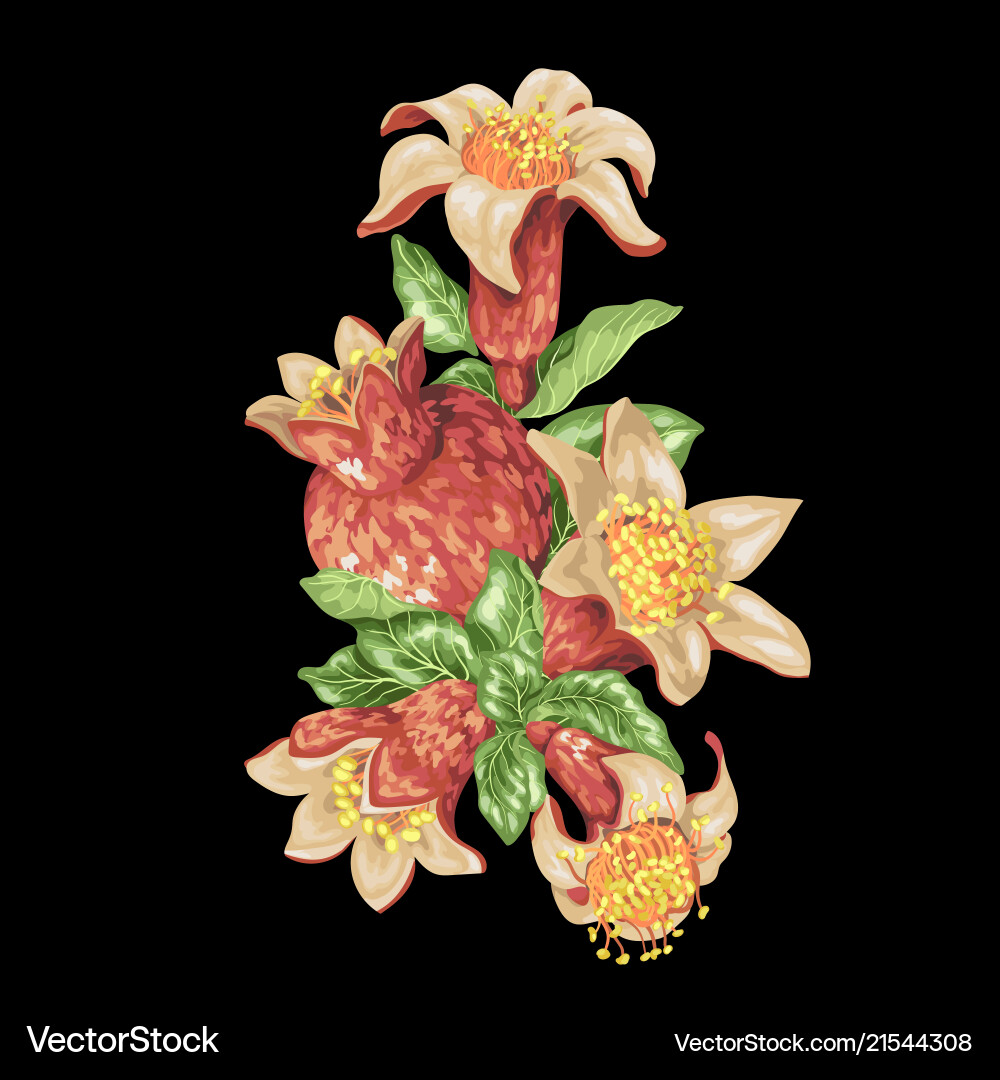 Decor element with pomegranate branch Vector Image