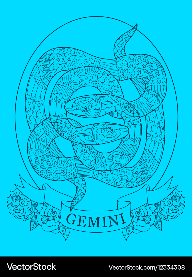 Gemini zodiac sign color drawing vector image