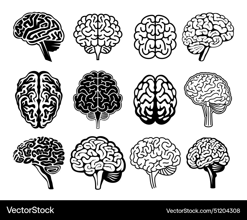Human Gehirn schwarz und weiß Anatomie Neurologie Human Gehirn schwarz und weiß Anatomie Neurologie vektorbild