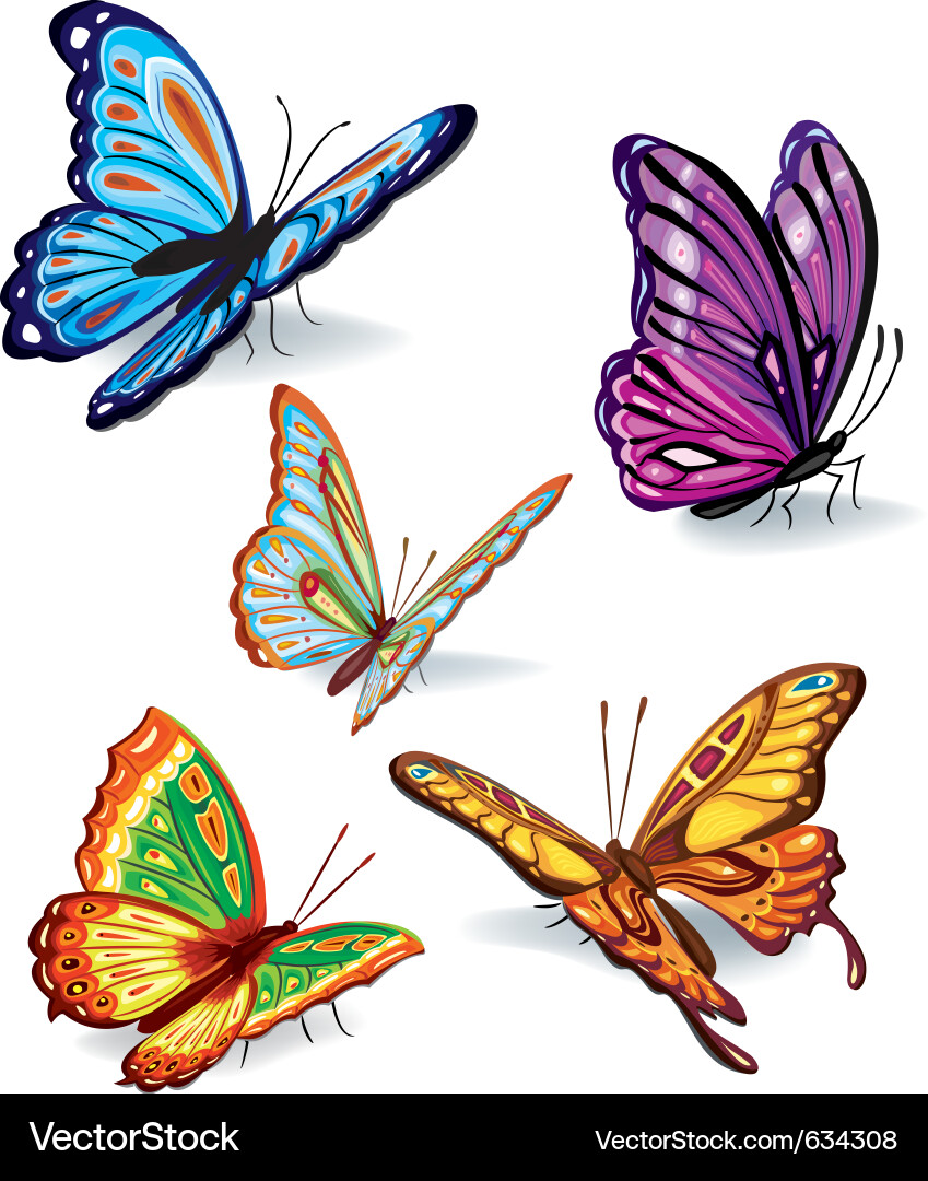 Vibrant Butterfly Collection Vector Image