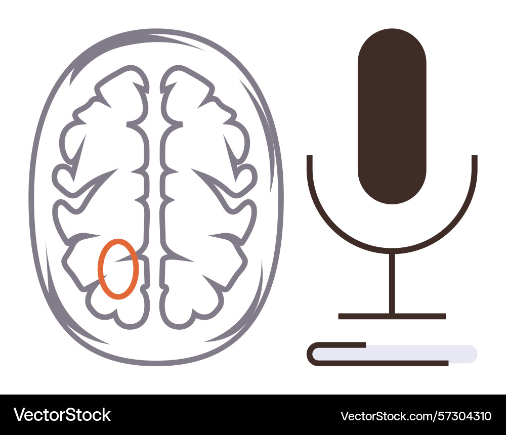 Brain communication concept with highlighted Vector Image
