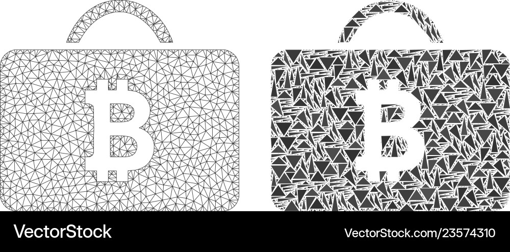 Polygonal network mesh bitcoin case and mosaic vector image