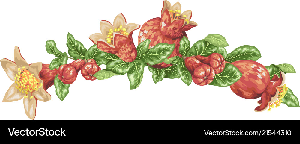 Pomegranate Headline Vorlage Rahmen mit Blüte Pomegranate Headline Vorlage Rahmen mit Blüte vektorbild