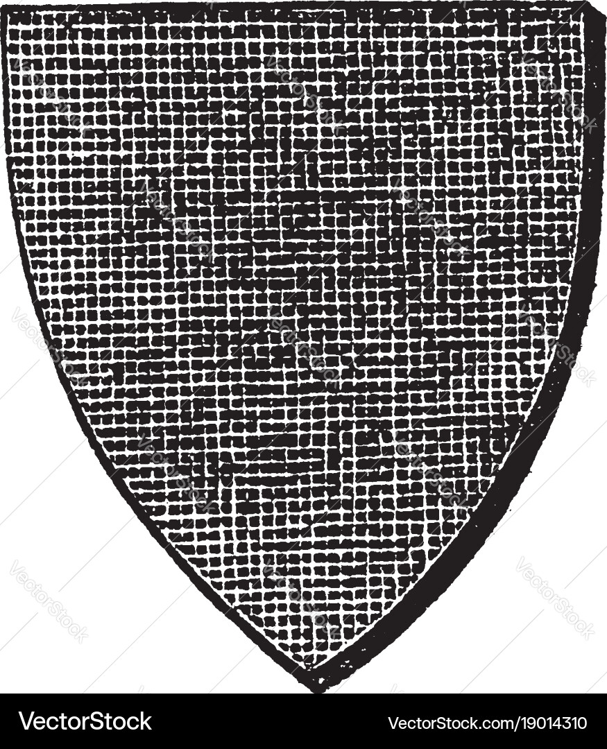 Sable shield is shown by the crossing lines Vector Image