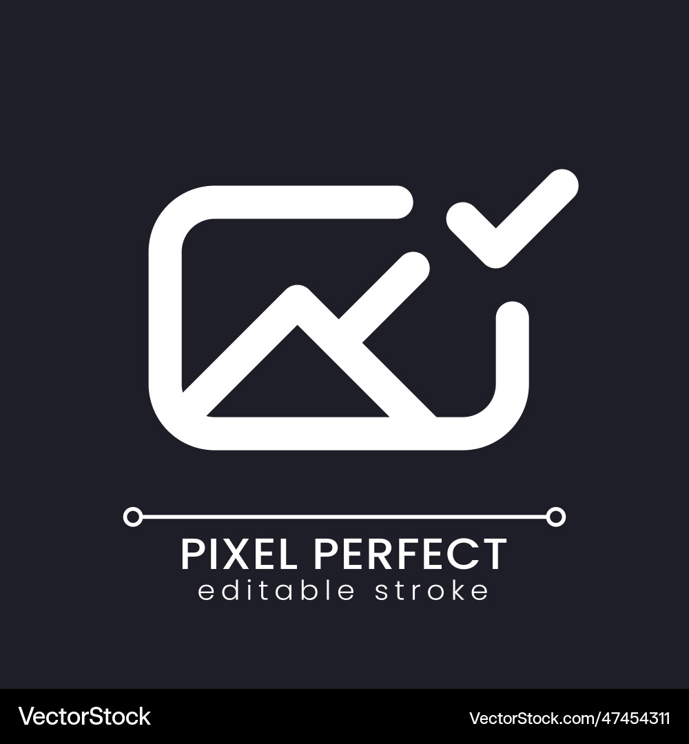 Applied photo file pixel perfect white linear ui vector image