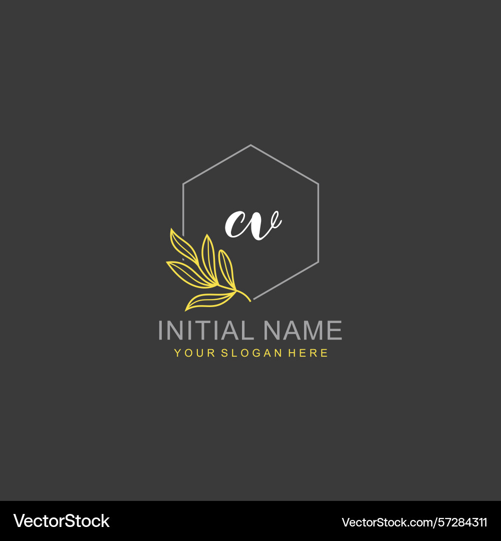 Cv initial logo templates with botanical elements Cv initial logo templates with botanical elements vector image