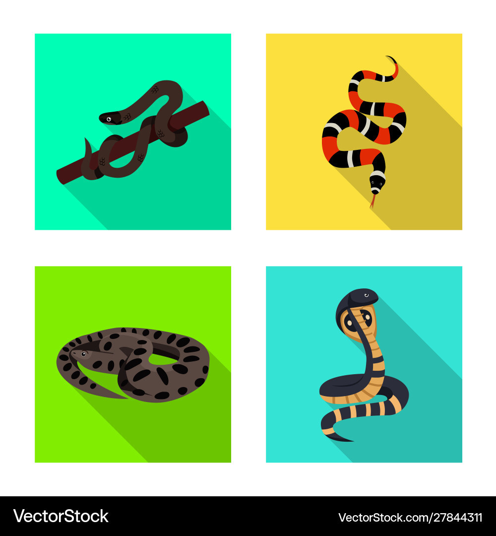 Isolated object snake and creepy icon set Vector Image