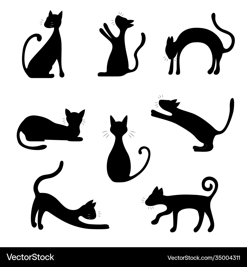 Silhouette black characters cat icon set Silhouette black characters cat icon set vector image