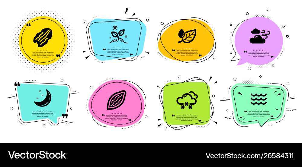 Windy weather cocoa nut and pecan icons set Windy weather cocoa nut and pecan icons set vector image