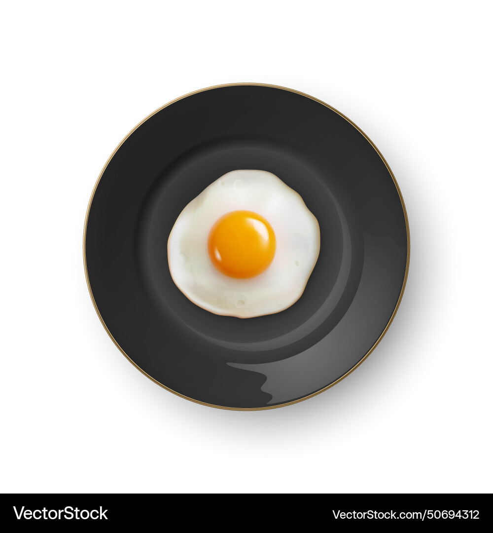 3d realistic fried egg on a black dish Vector Image
