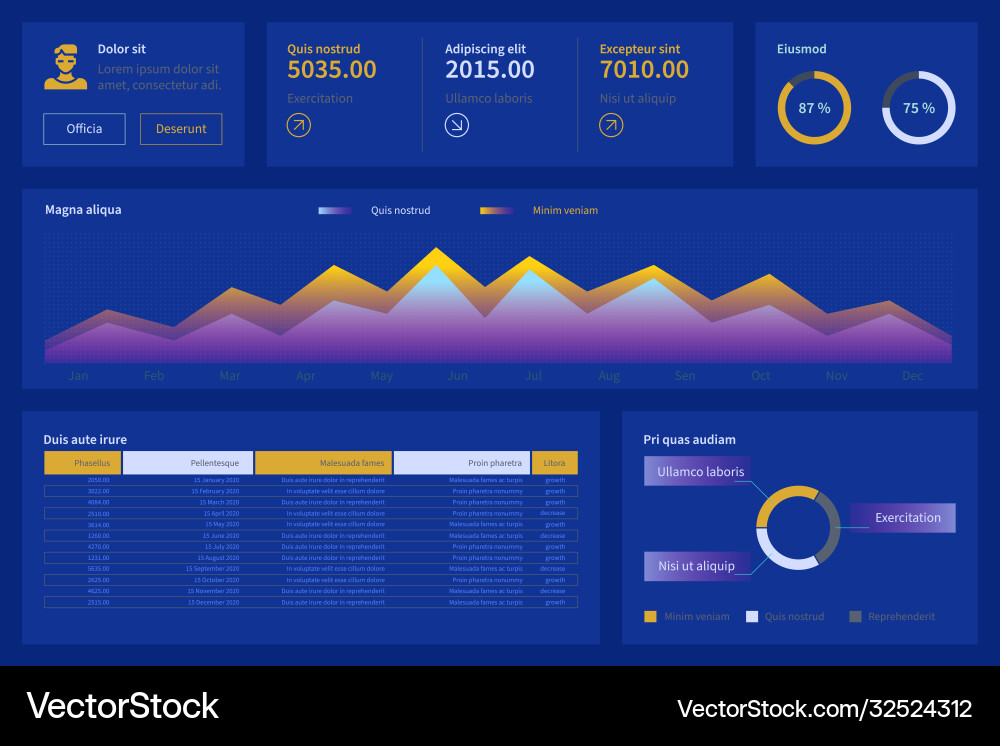 Dashboard with infographic elements charts Dashboard with infographic elements charts vector image