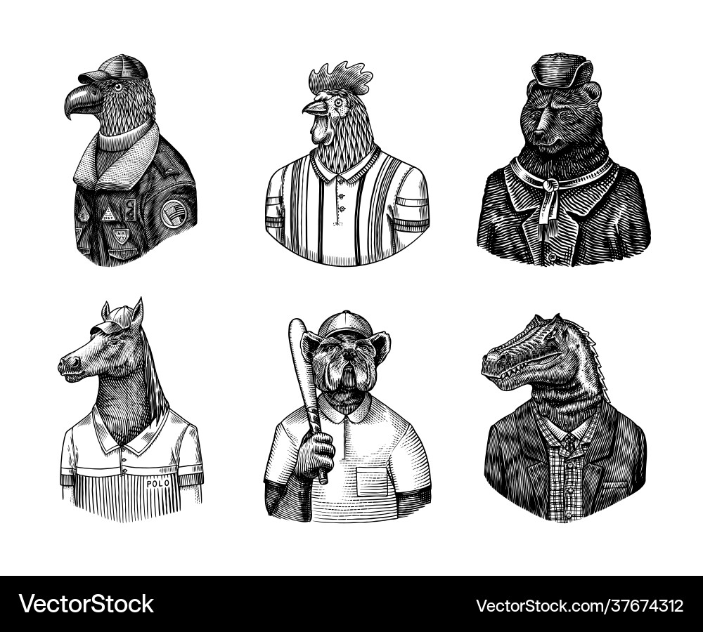 Eagle aviator pilot rooster tennis player bear Eagle aviator pilot rooster tennis player bear vector image