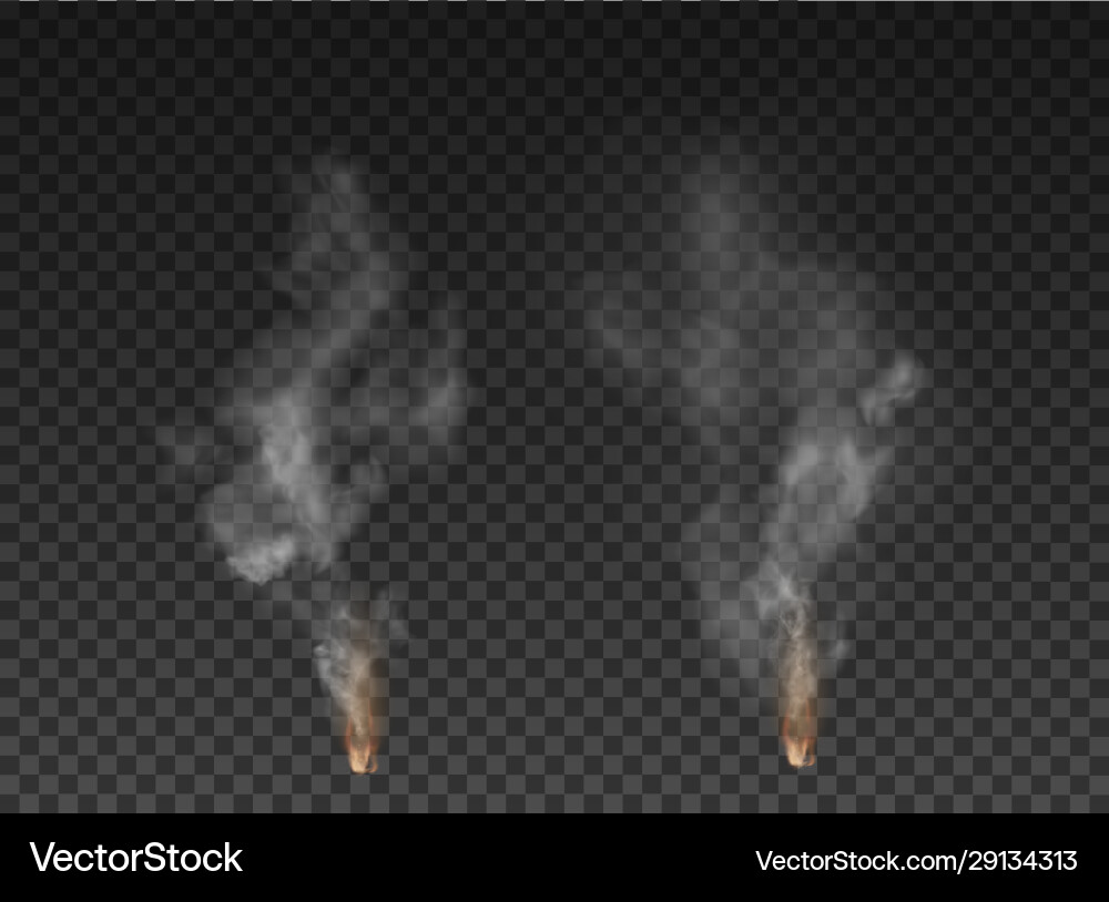 Fog and smoke isolated on transparent background Vector Image