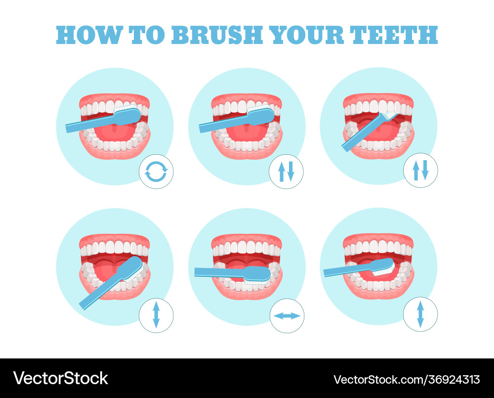 Step-by-step scheme instructions on how to brush Step-by-step scheme instructions on how to brush vector image