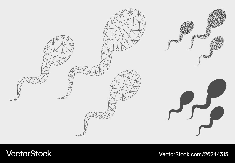 Sperm mesh 2d model and triangle mosaic Vector Image