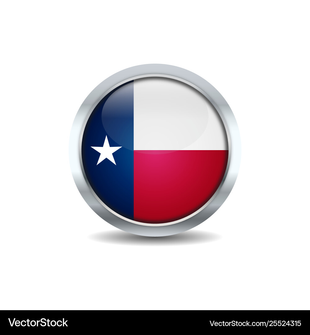Texas circle button flag Texas circle button flag vector image