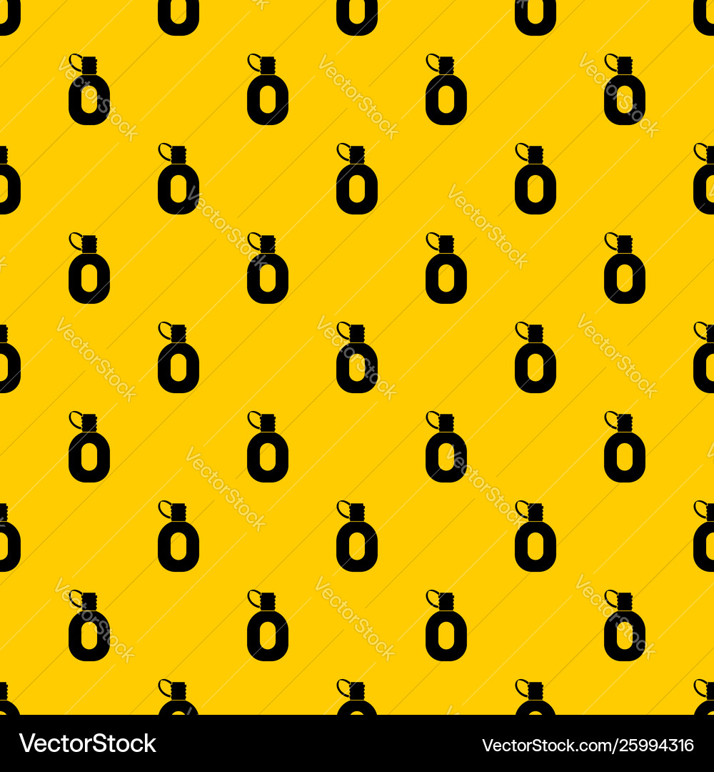 Tourist flask pattern vector image