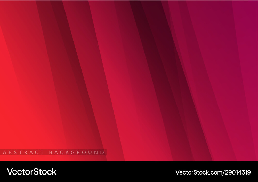 Dynamic colorful gradient with modern abstract Vector Image