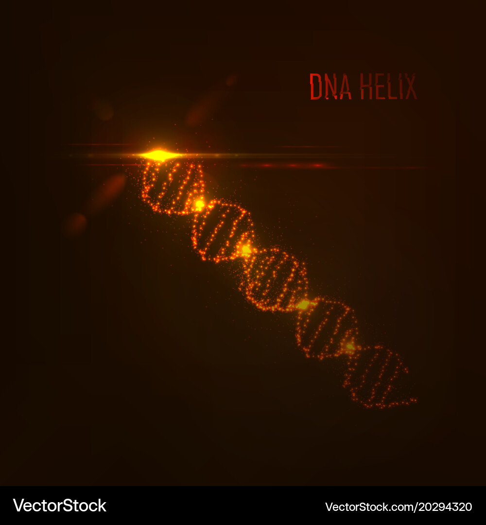 Dna shape of glowing circles and particles Vector Image