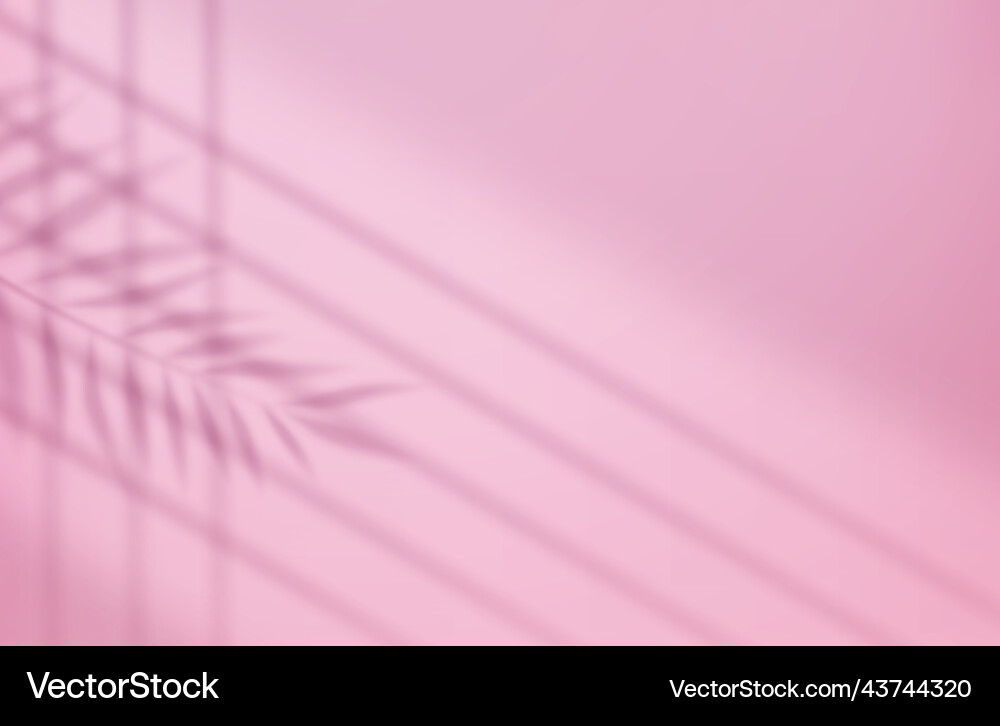 Empty studio abstract background Empty studio abstract background vector image