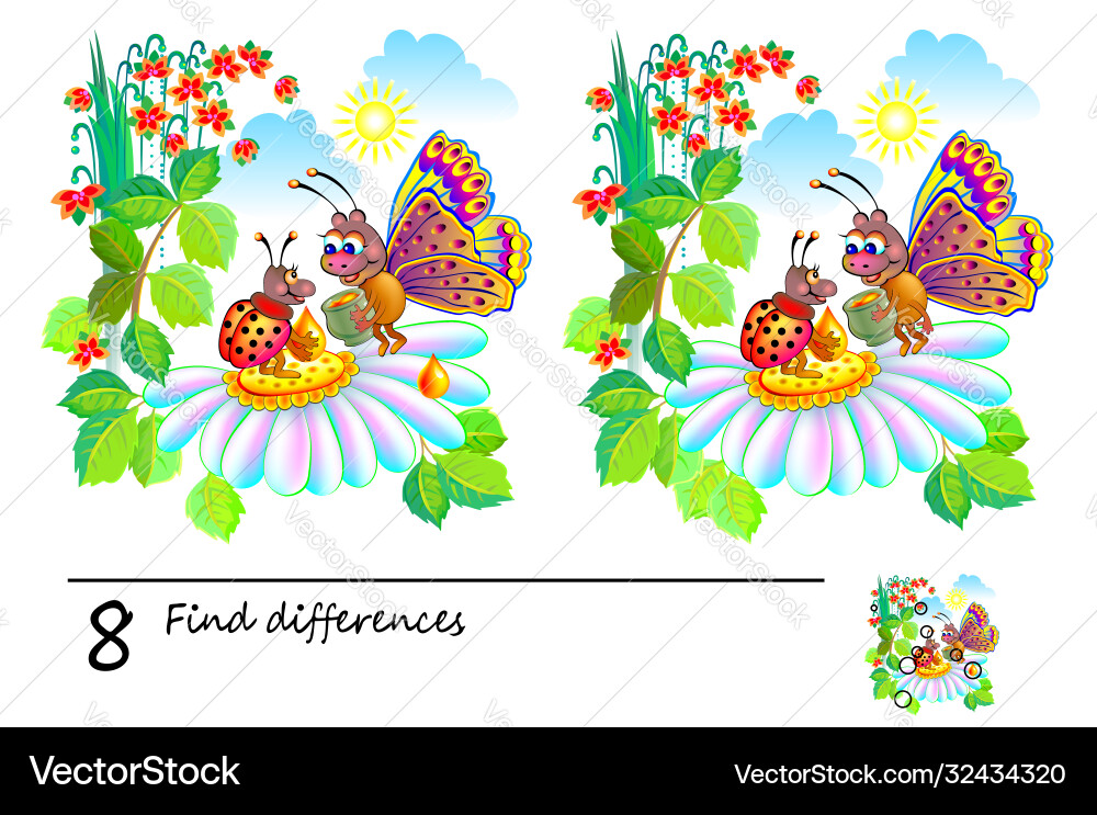 Find the Differences Puzzle Game vector image