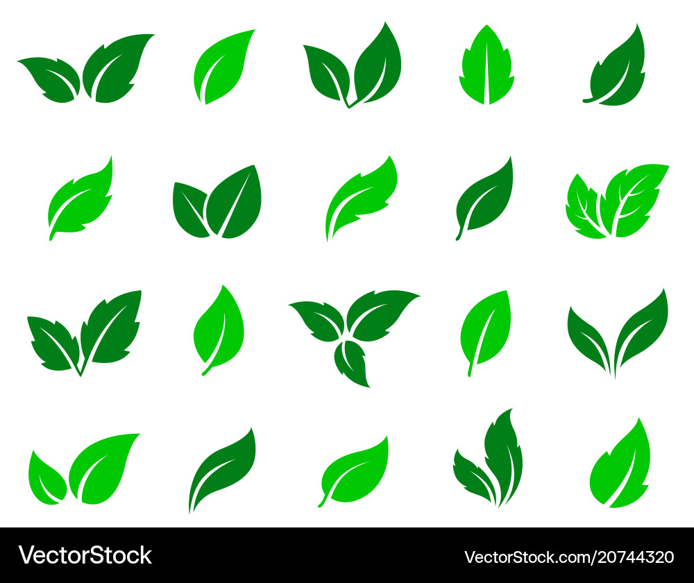 Green Leaf Icon Set Royalty Free Vector Image - VectorStock
