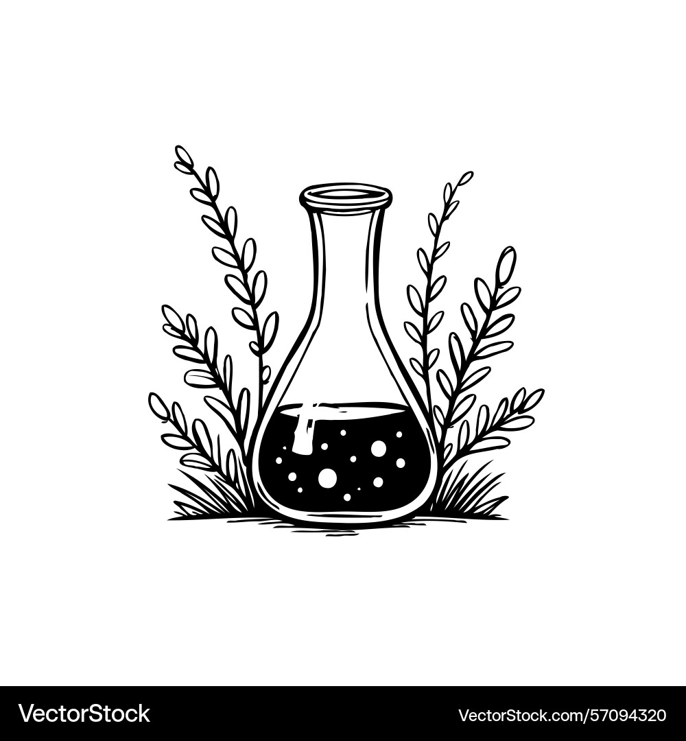 Minimalist science flask surrounded by botanical Vector Image