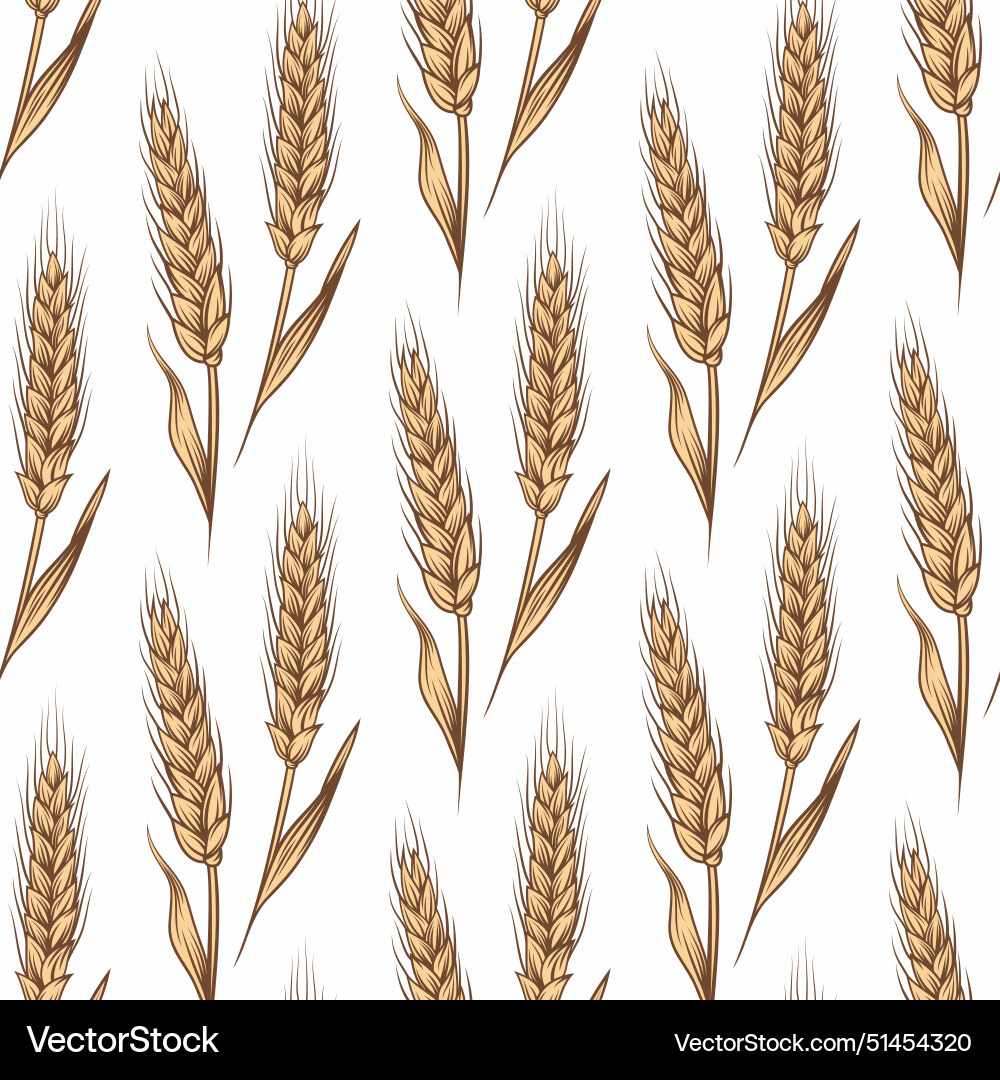 Seamless pattern with hand drawn Royalty Free Vector Image