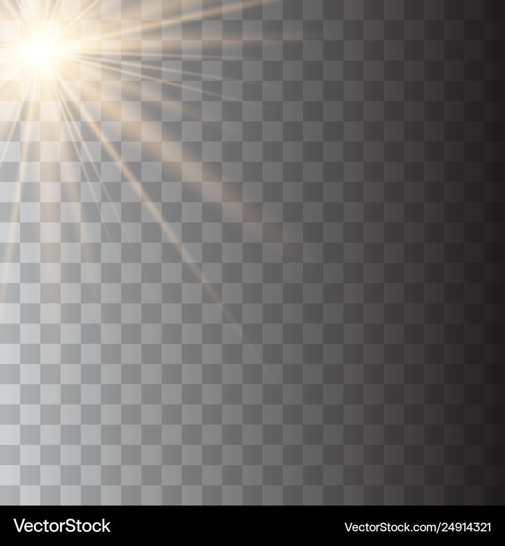 Transparent sunlight special lens Transparent sunlight special lens vector image