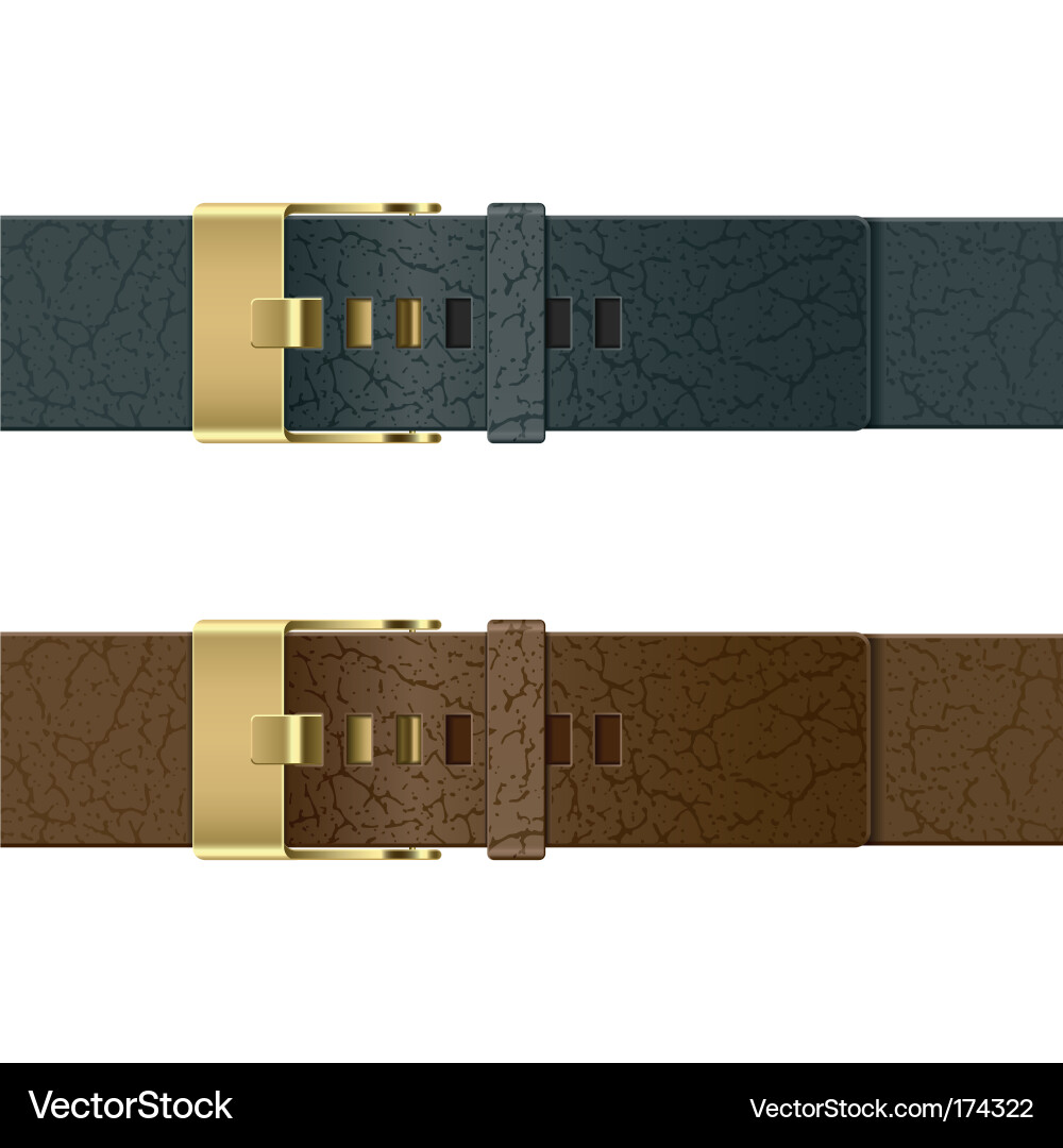 Leather belt Royalty Free Vector Image - VectorStock