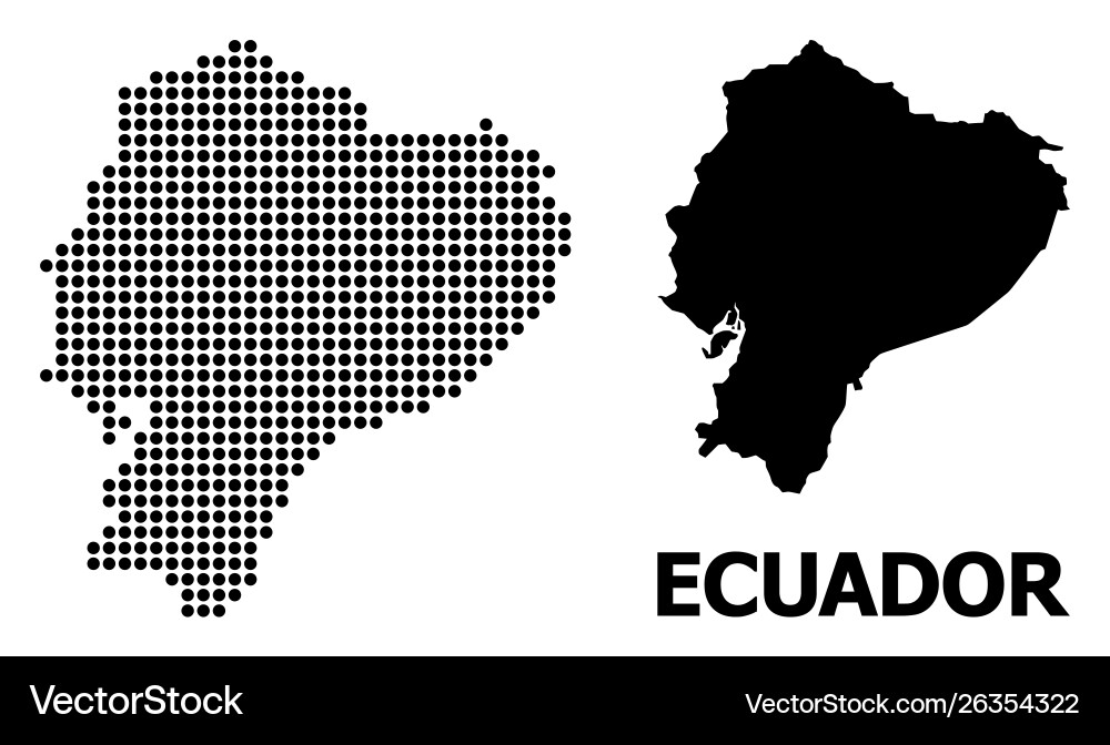 Pixelated pattern map ecuador vector image