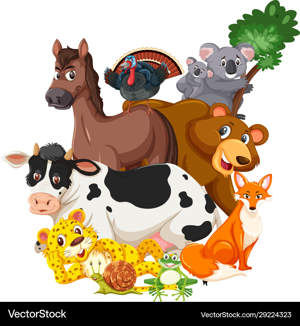 Different types wild animals on white Different types wild animals on white vector image