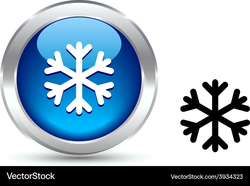 Snowflake button Vector Image