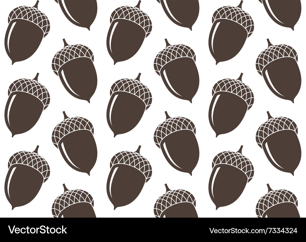 Detailed Acorn Pattern vector image