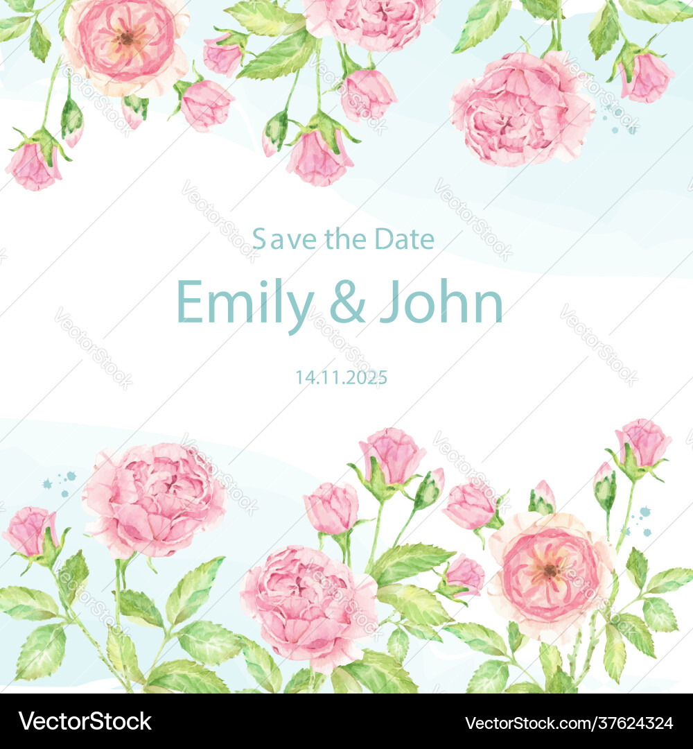 Watercolor beautiful english rose flower bouquet Watercolor beautiful english rose flower bouquet vector image