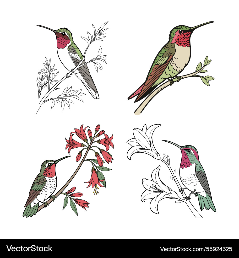 Ai-generated set of bird design Vector Image
