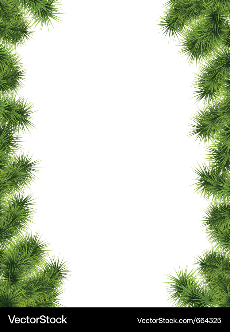 Christmas Fir Branches Background Vector Image