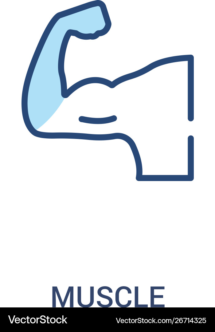 Muscle concept 2 colored icon simple line element Muscle concept 2 colored icon simple line element vector image