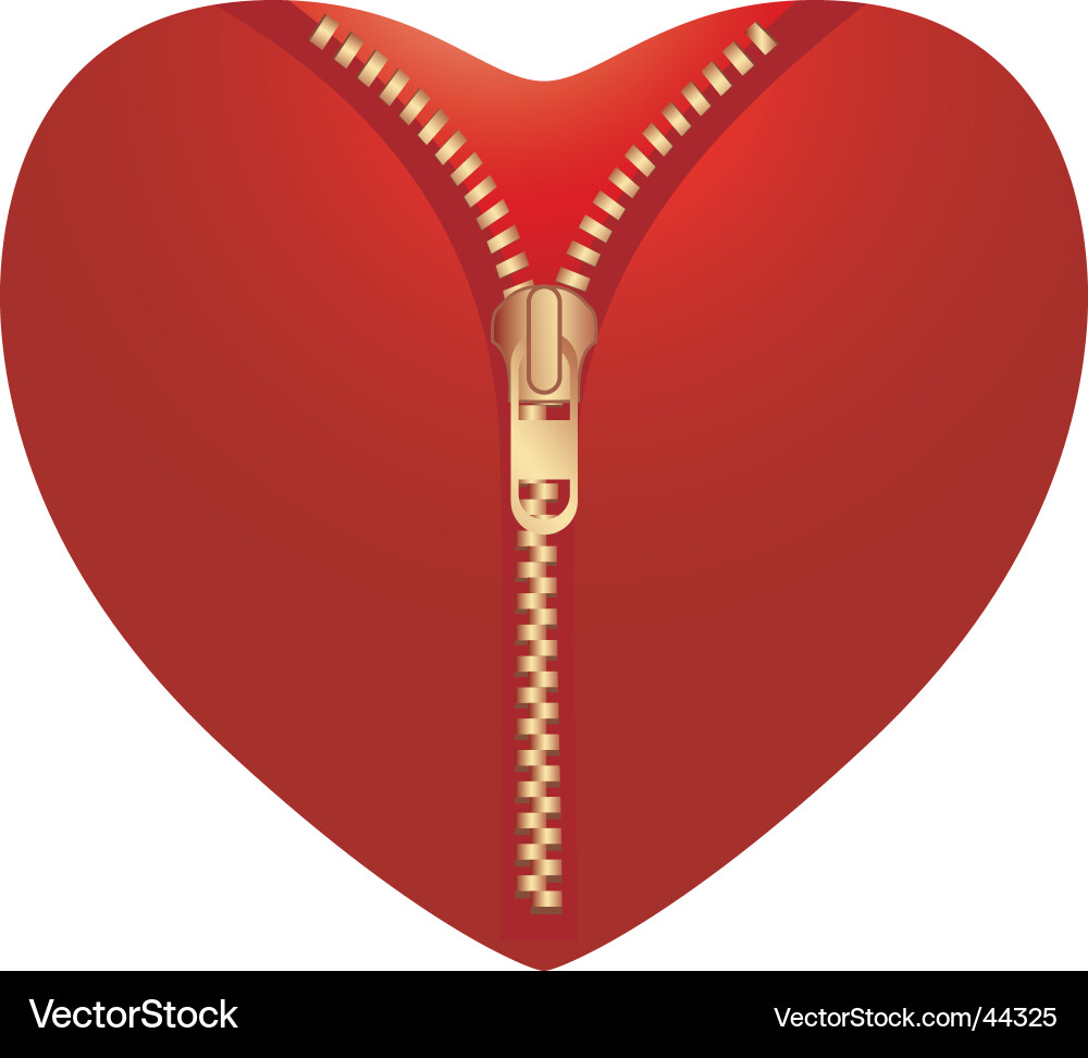 Red Open Heart with Zipper Vector Image