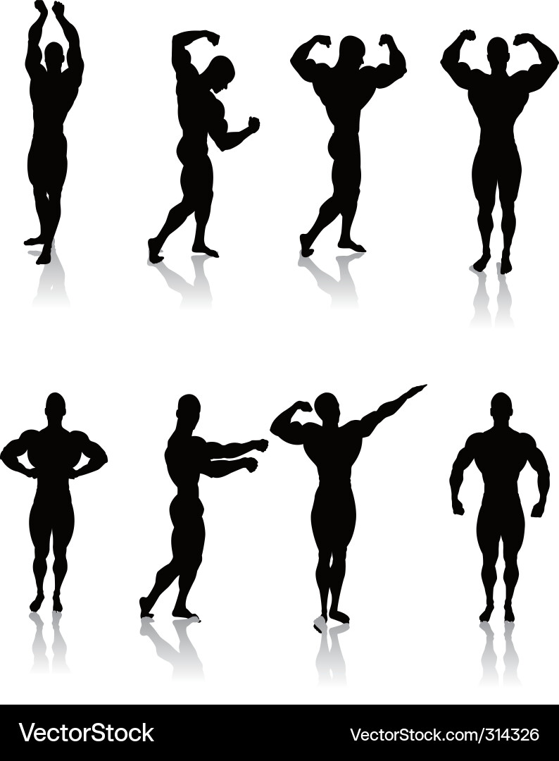 Classic Male Bodybuilder Silhouettes Vector Image