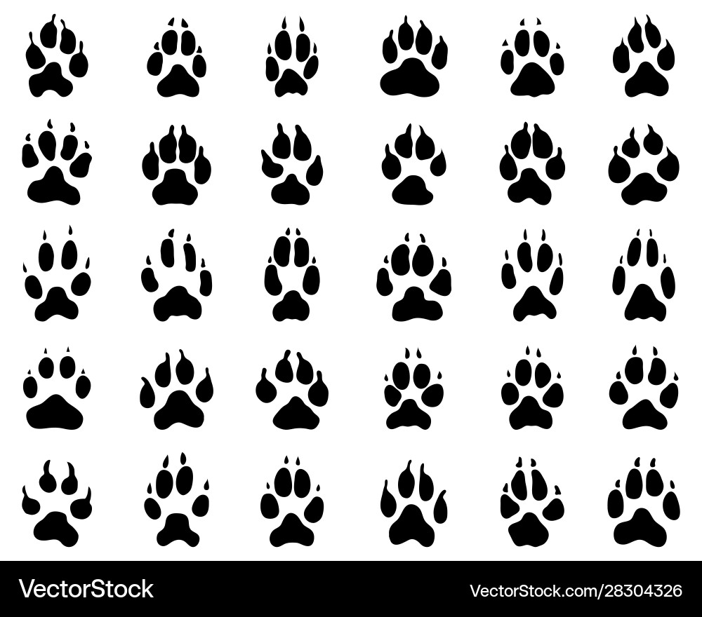 Dog Paw Prints - Black & White vector image