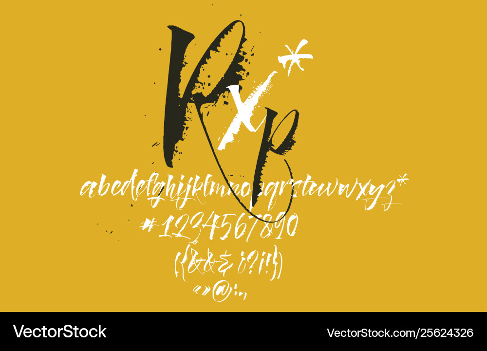 Expressive calligraphic script blots splashes Vector Image