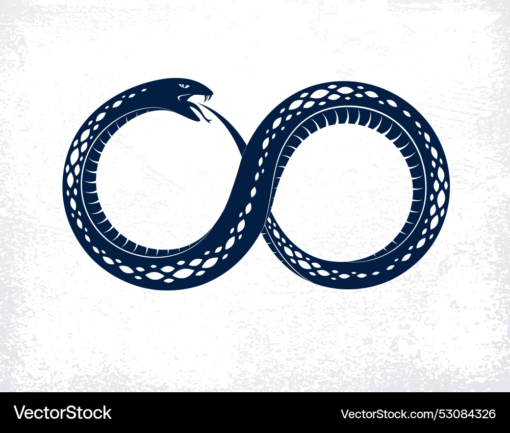 Ouroboros Snake - Infinity Symbol Vector Image