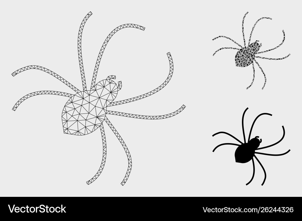 Spider mesh network model and triangle Spider mesh network model and triangle vector image