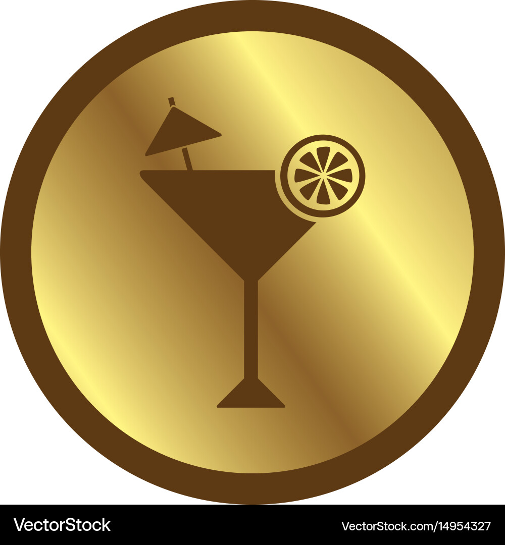 Glossy color website internet icon button theme Vector Image