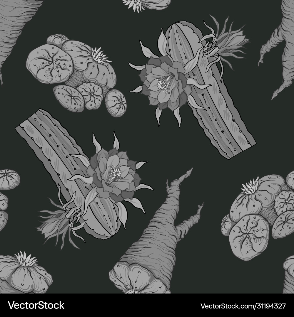 Seamless pattern background with miraculous vector image