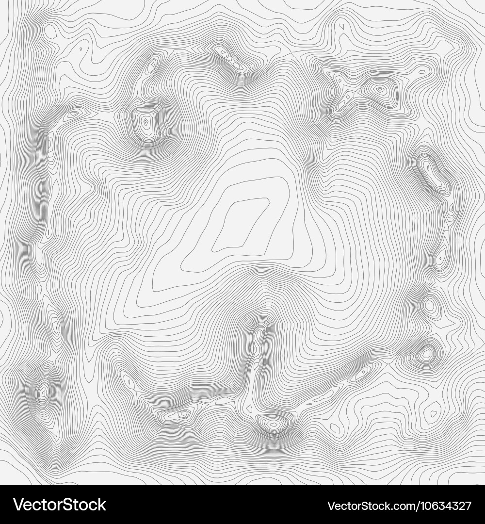 Topographic Map Pattern Background vector image